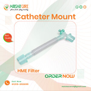 catheter mount and filter