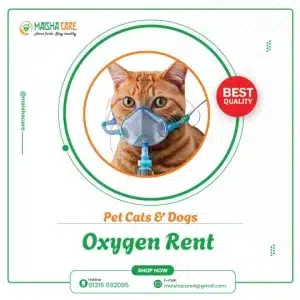 Oxygen Rent For Pet Cats & Dogs